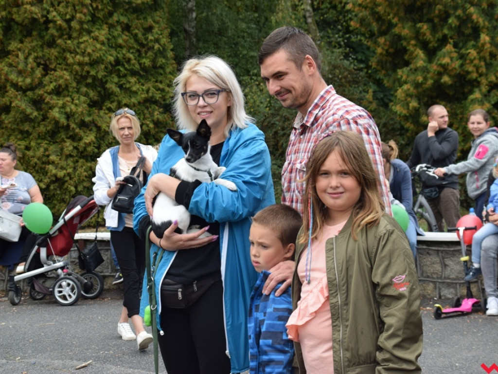 Psy i ich przyjaciele, czyli schroniskowy piknik pełen pozytywnej energii