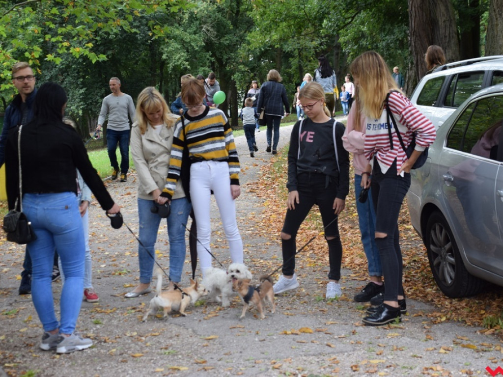 Psy i ich przyjaciele, czyli schroniskowy piknik pełen pozytywnej energii