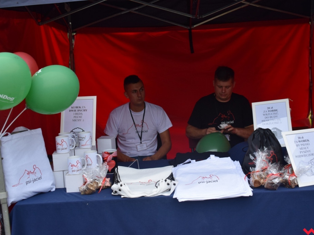 Psy i ich przyjaciele, czyli schroniskowy piknik pełen pozytywnej energii