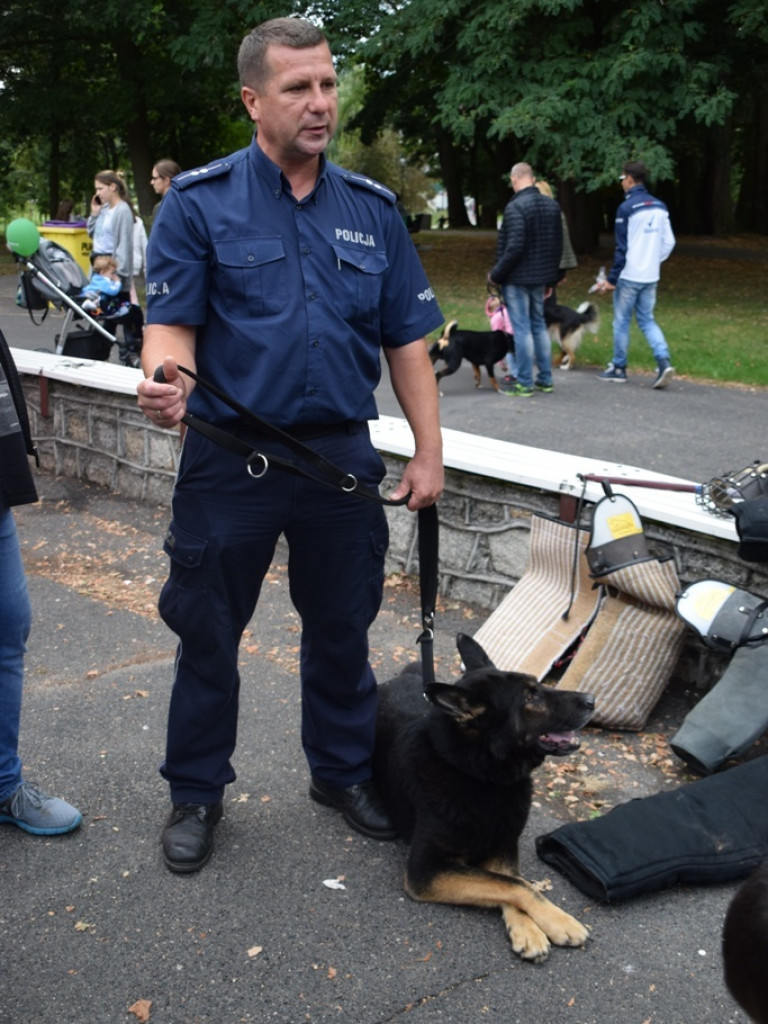 Psy i ich przyjaciele, czyli schroniskowy piknik pełen pozytywnej energii