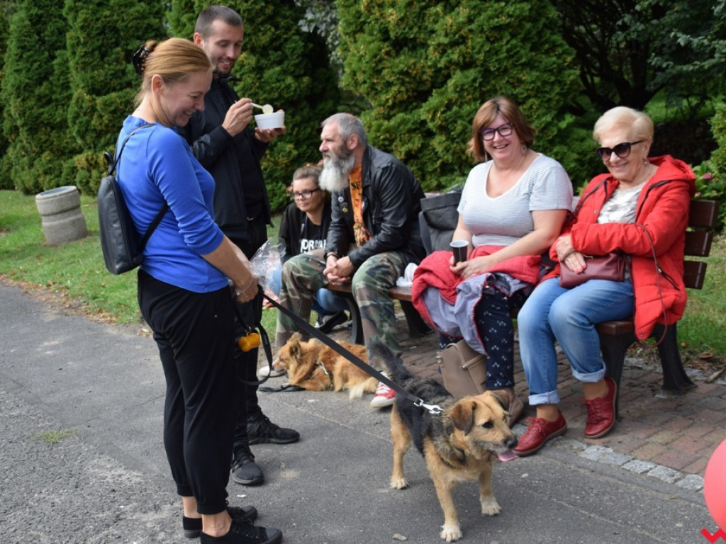 Psy i ich przyjaciele, czyli schroniskowy piknik pełen pozytywnej energii