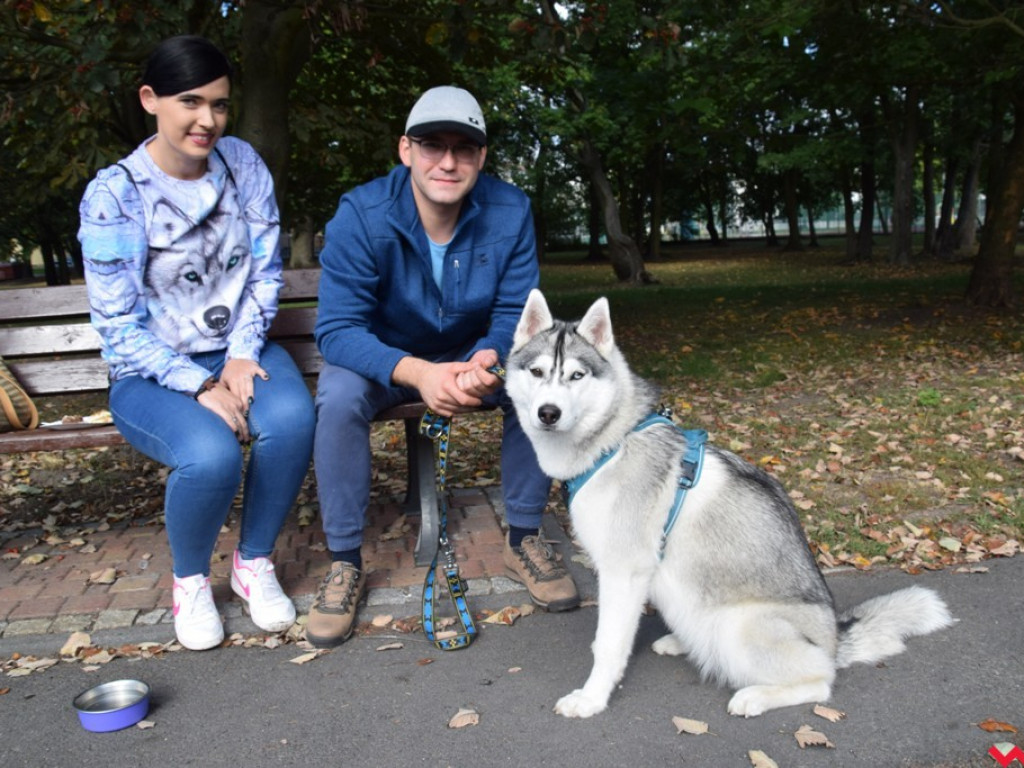 Psy i ich przyjaciele, czyli schroniskowy piknik pełen pozytywnej energii