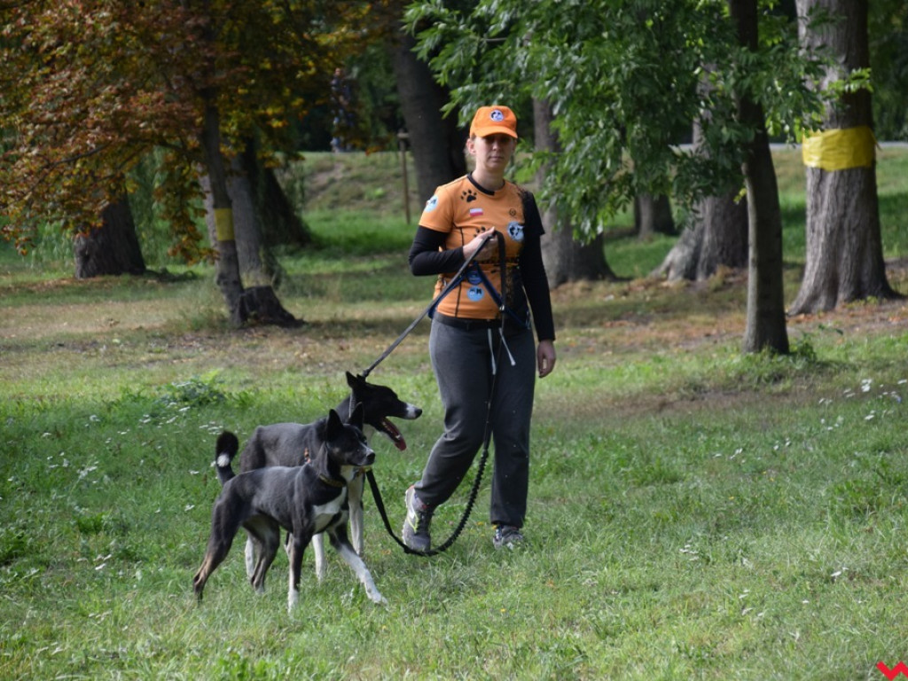 Psy i ich przyjaciele, czyli schroniskowy piknik pełen pozytywnej energii