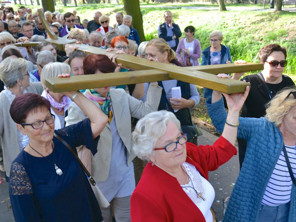 W obronie wiary i wartości. Setki osób w akcji Września pod Krzyżem