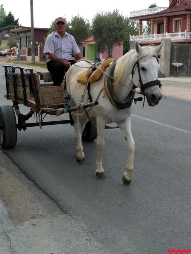  Pielgrzymi z Miłosławia mają już w nogach dwa tysiące kilometrów!