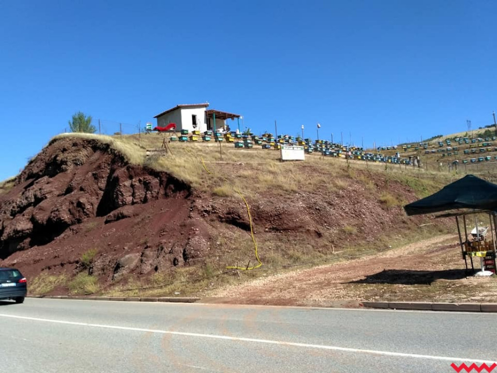  Pielgrzymi z Miłosławia mają już w nogach dwa tysiące kilometrów!