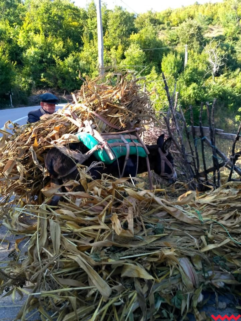  Pielgrzymi z Miłosławia mają już w nogach dwa tysiące kilometrów!