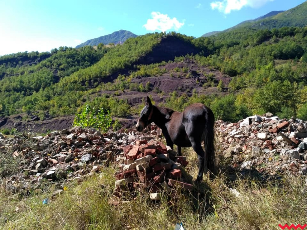  Pielgrzymi z Miłosławia mają już w nogach dwa tysiące kilometrów!