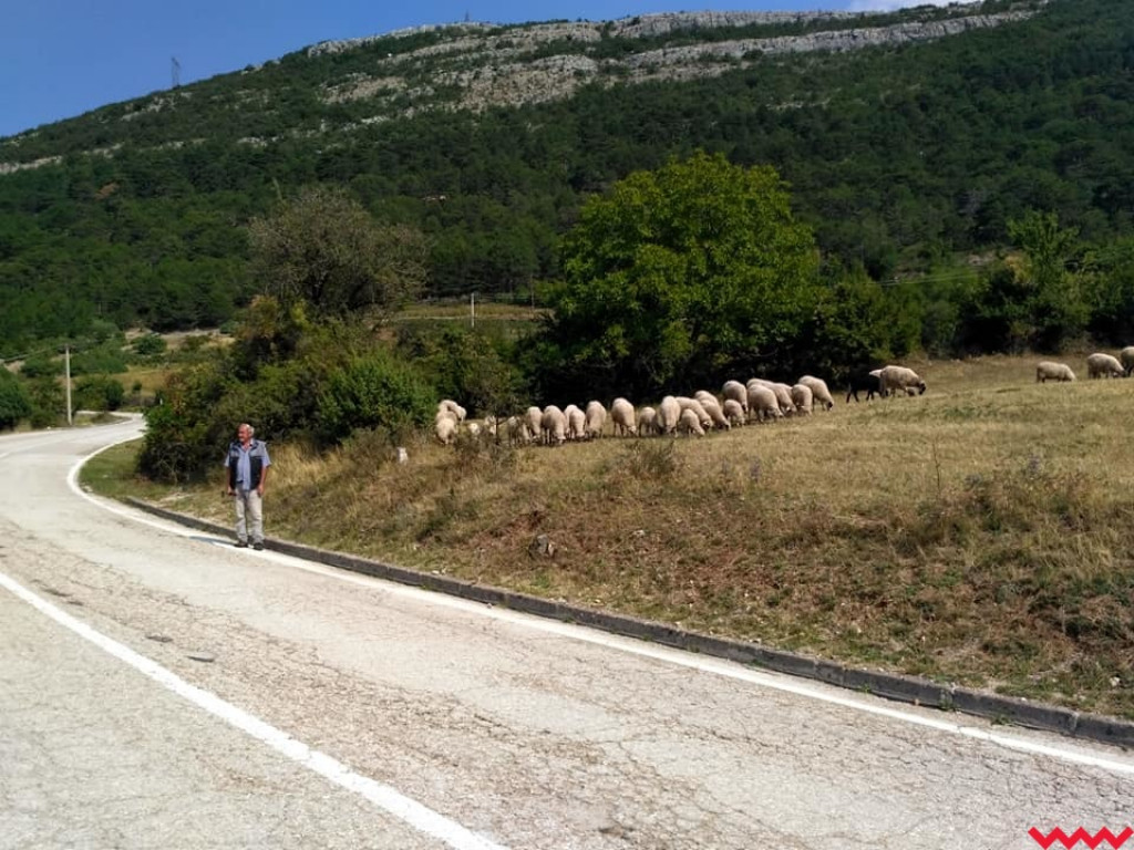  Pielgrzymi z Miłosławia mają już w nogach dwa tysiące kilometrów!