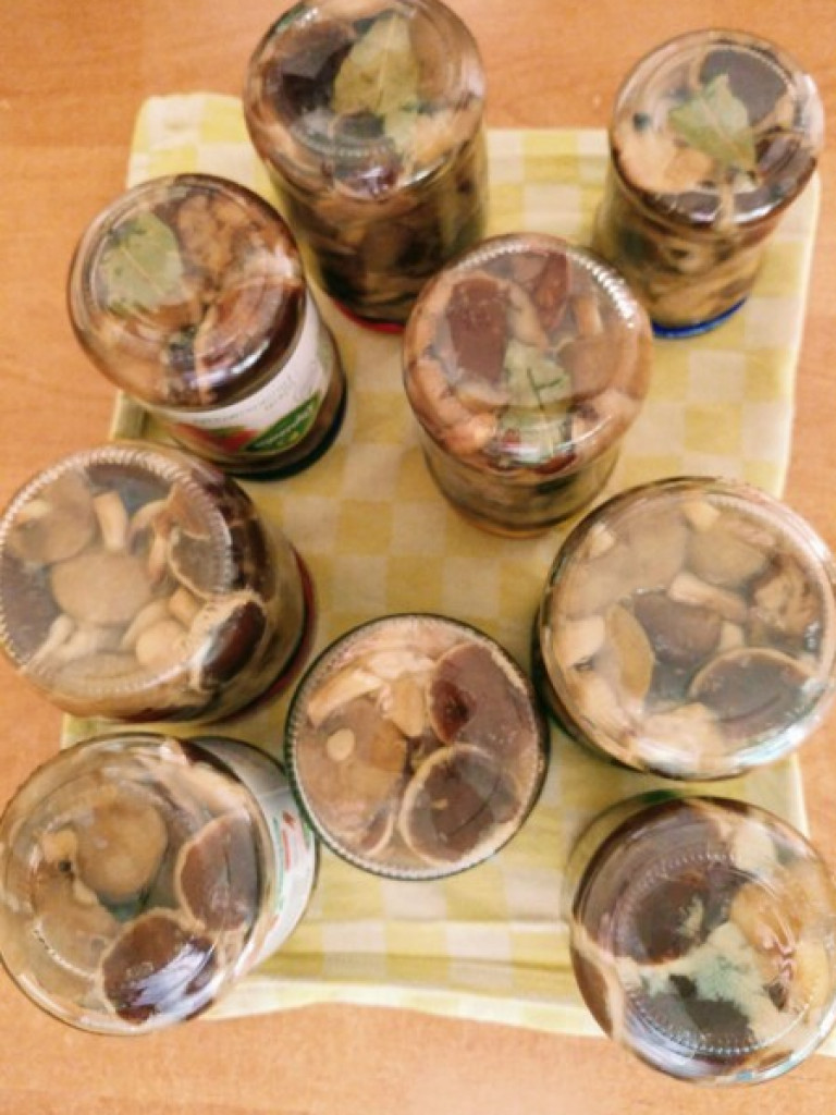 Wielki wysyp grzybów. Zobaczcie zbiory naszych Czytelników