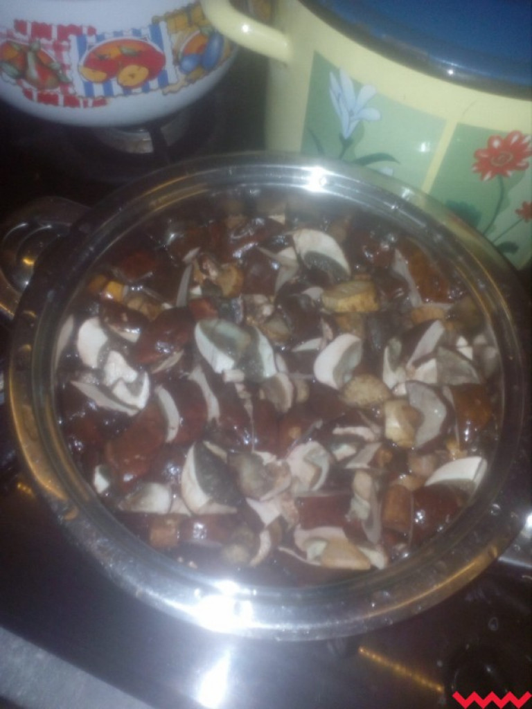 Wielki wysyp grzybów. Zobaczcie zbiory naszych Czytelników