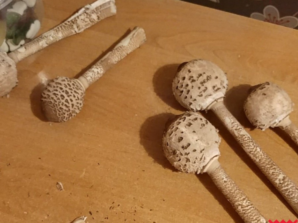 Wielki wysyp grzybów. Zobaczcie zbiory naszych Czytelników