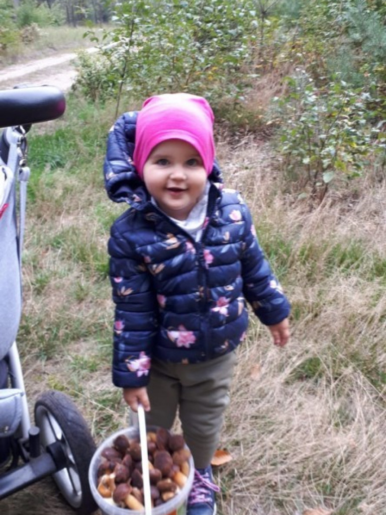 Wielki wysyp grzybów. Zobaczcie zbiory naszych Czytelników