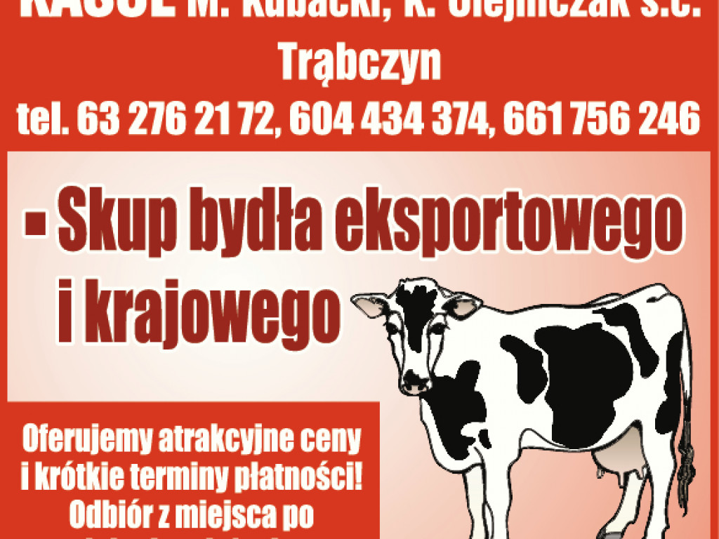 Reklamy z gazety - inne