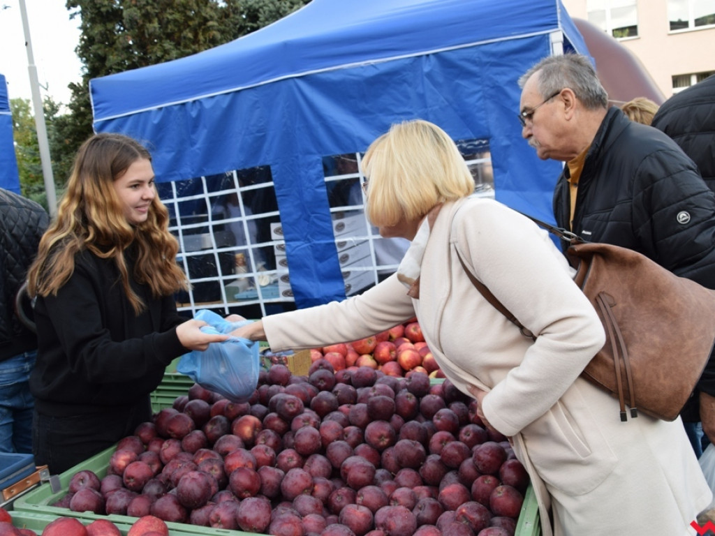 Skarby ze spiżarni gospodyń i patelnia mistrza, czyli pierwsze Powiatowe Święto Smaków