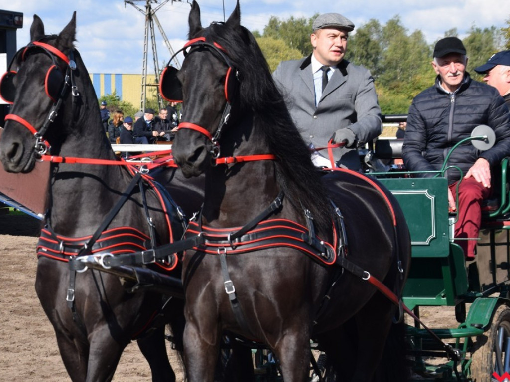 W pogoni za lisem. Druga edycja jeździeckiego święta Stajni Bierzglinek za nami