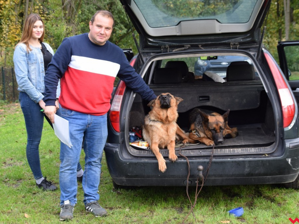 Piękne psy i dumni hodowcy. Za nami druga wystawa owczarków niemieckich