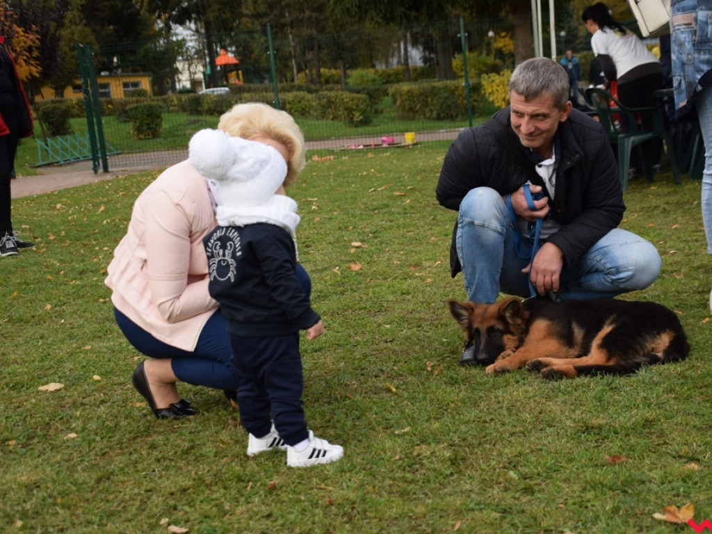 Piękne psy i dumni hodowcy. Za nami druga wystawa owczarków niemieckich
