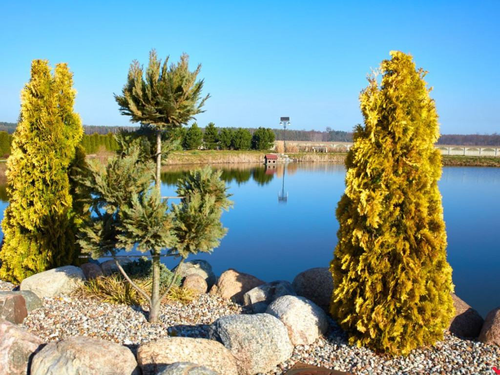 Darmowy dzień tenisa w ośrodku 