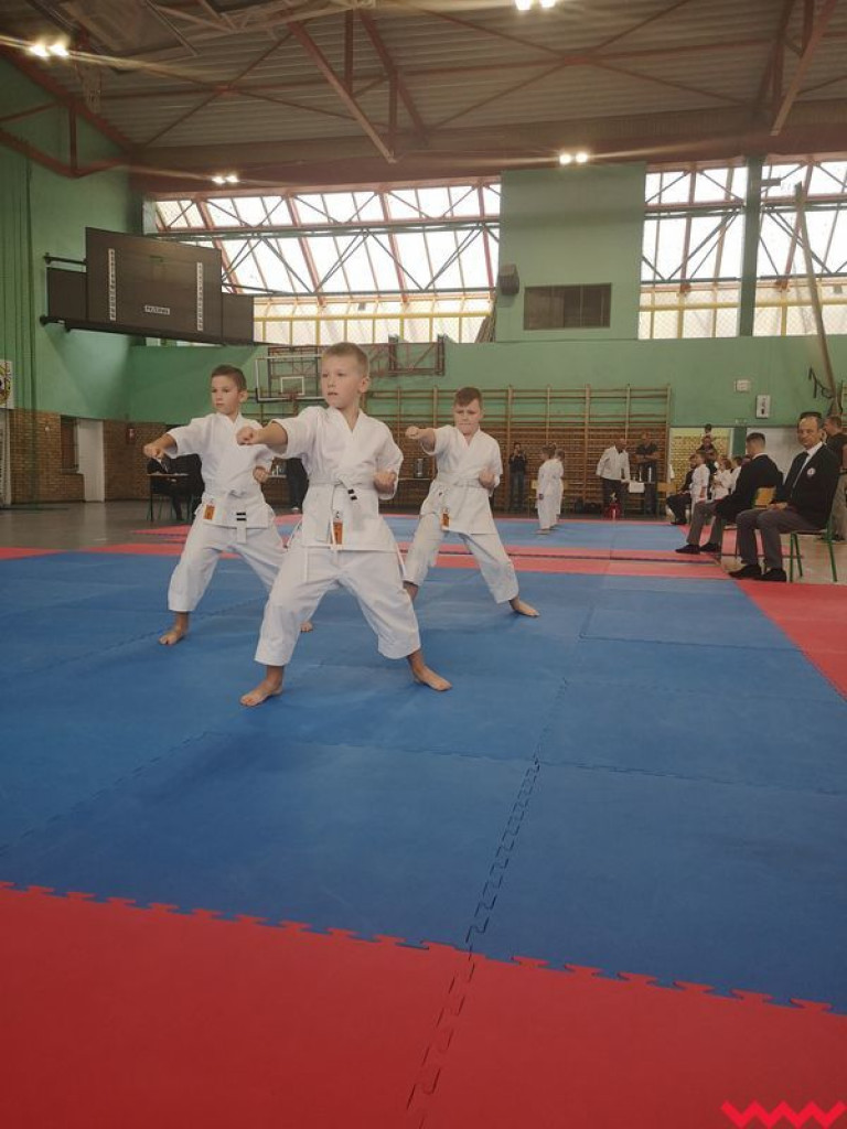 Kolejny dobry występ zawodników Wrzesińskiego Klubu Karate