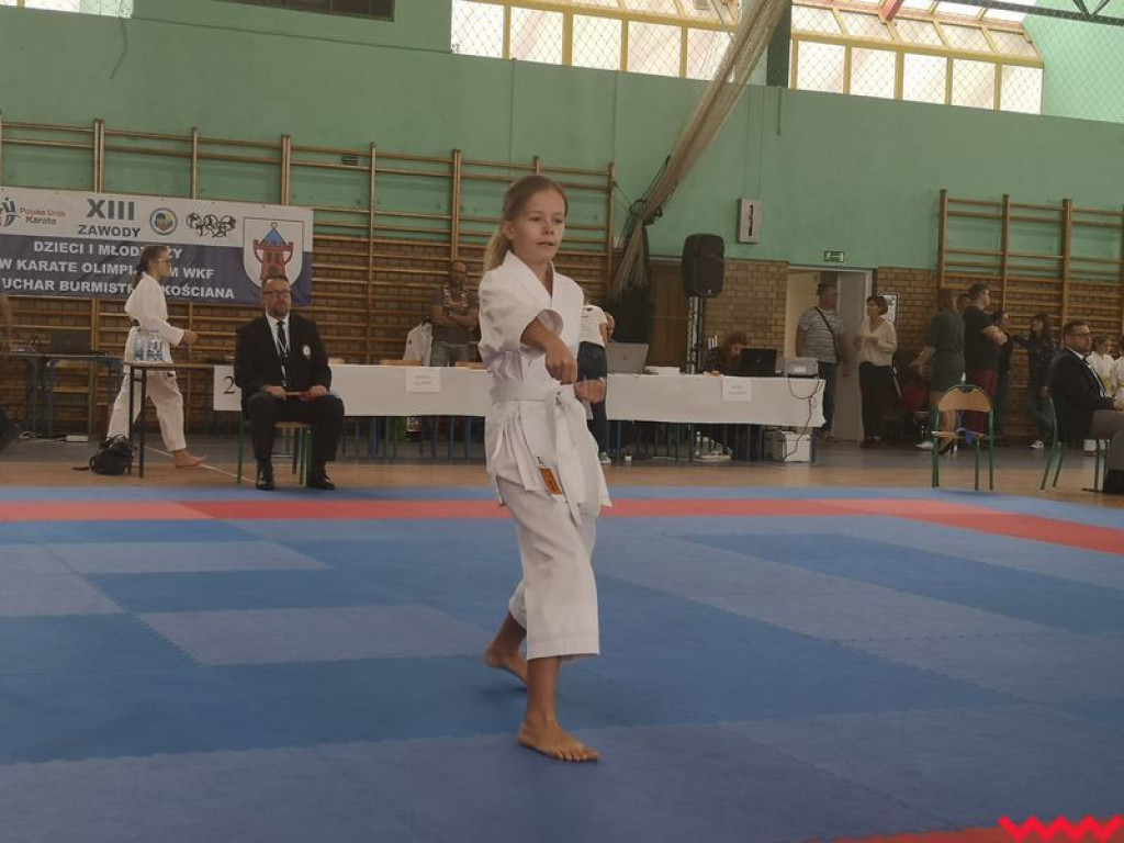 Kolejny dobry występ zawodników Wrzesińskiego Klubu Karate