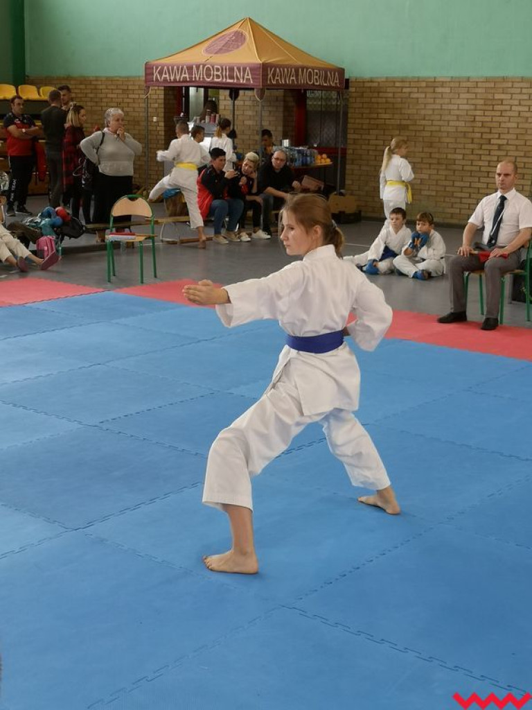 Kolejny dobry występ zawodników Wrzesińskiego Klubu Karate