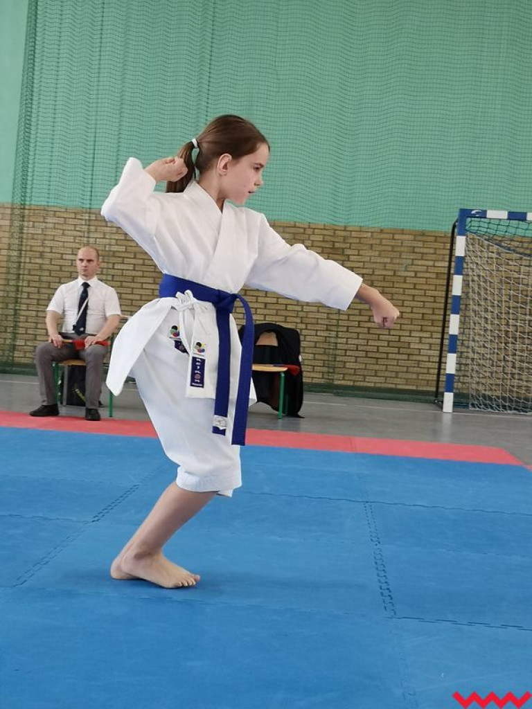 Kolejny dobry występ zawodników Wrzesińskiego Klubu Karate