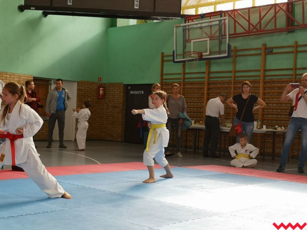 Kolejny dobry występ zawodników Wrzesińskiego Klubu Karate