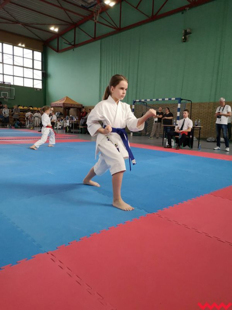 Kolejny dobry występ zawodników Wrzesińskiego Klubu Karate