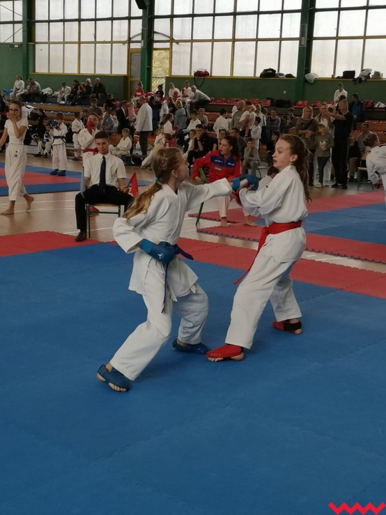 Kolejny dobry występ zawodników Wrzesińskiego Klubu Karate