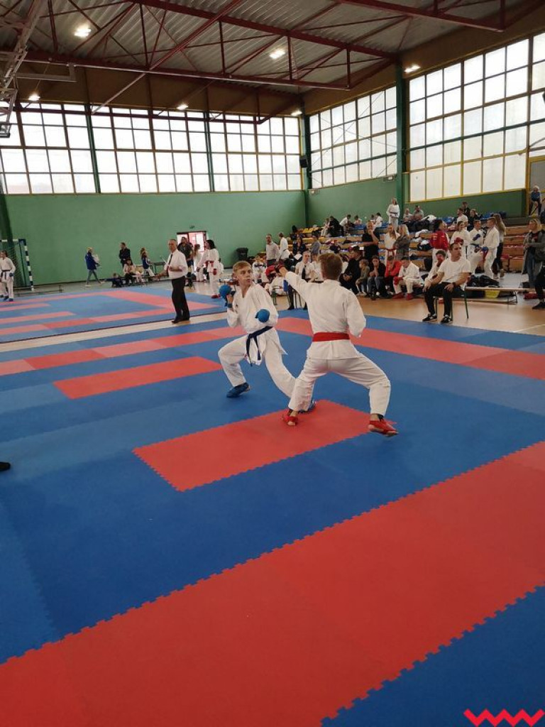 Kolejny dobry występ zawodników Wrzesińskiego Klubu Karate
