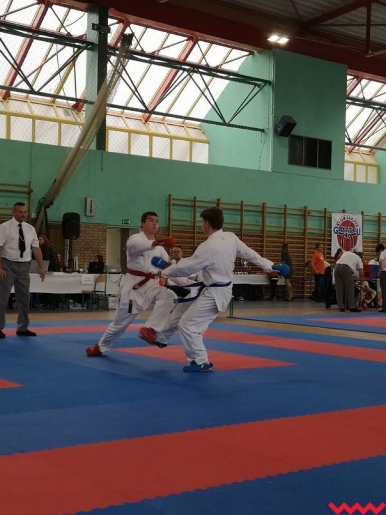 Kolejny dobry występ zawodników Wrzesińskiego Klubu Karate