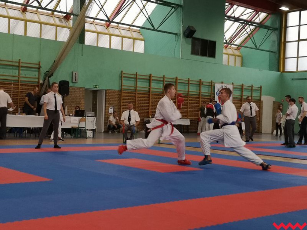 Kolejny dobry występ zawodników Wrzesińskiego Klubu Karate