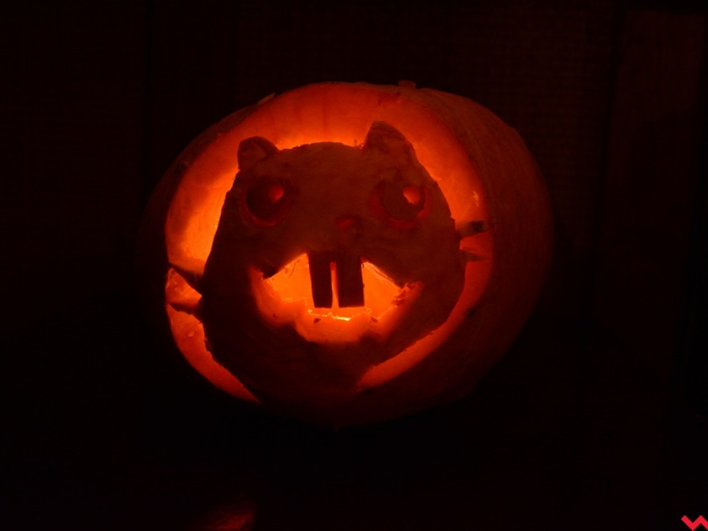 Korbole już gotowe. W AQQ niebawem rozpocznie się koncert halloweenowy