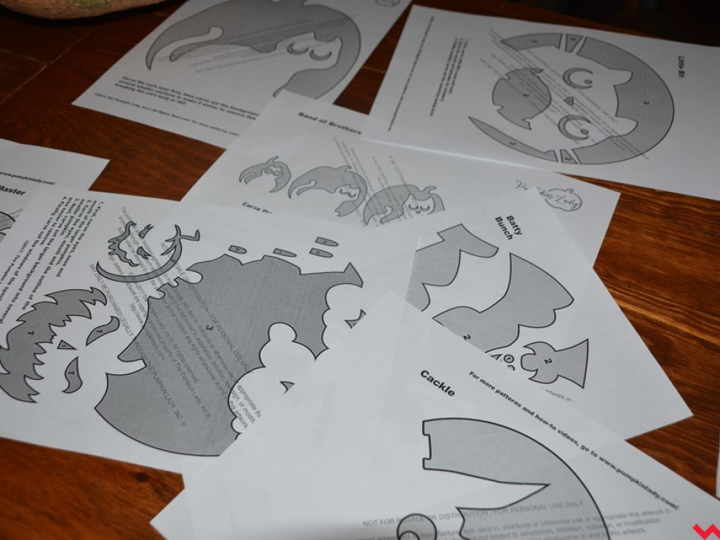 Korbole już gotowe. W AQQ niebawem rozpocznie się koncert halloweenowy