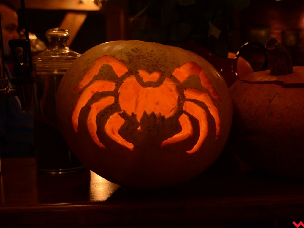 Korbole już gotowe. W AQQ niebawem rozpocznie się koncert halloweenowy