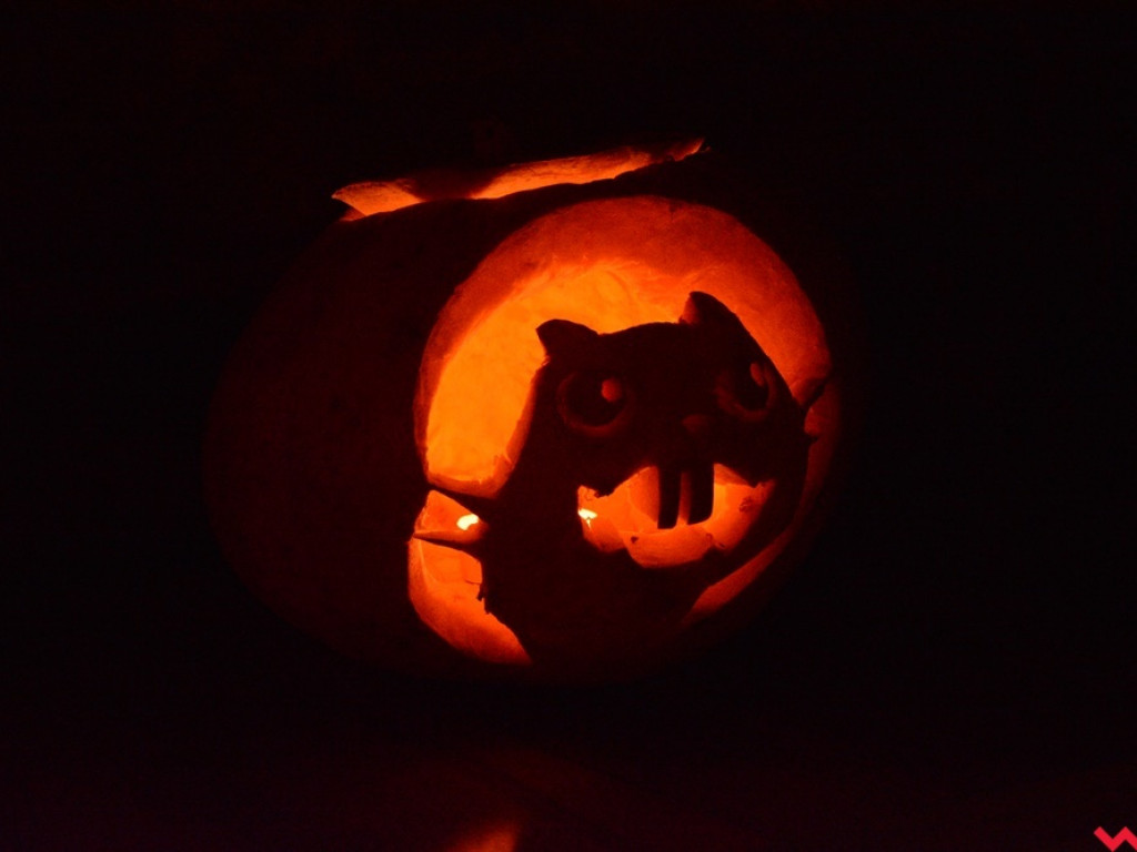 Doza luzu i szaleństwa, czyli Halloween w AQQ