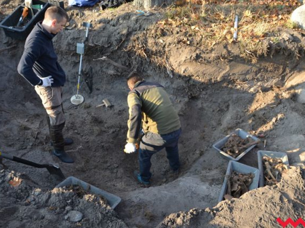 Tajemnica odkryta. Szczątki niemieckich żołnierzy odnalezione w Biechowie!