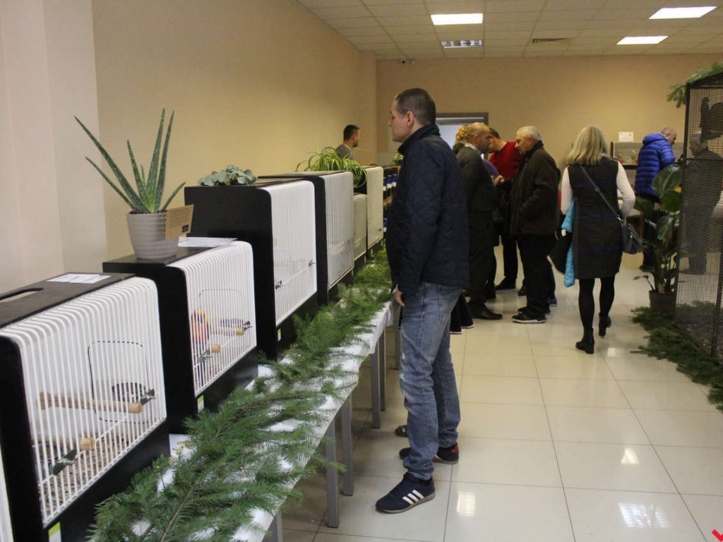 Hodowcy egzotycznych ptaków spotkali się w Nekli. Wystawa okazała się sporym sukcesem