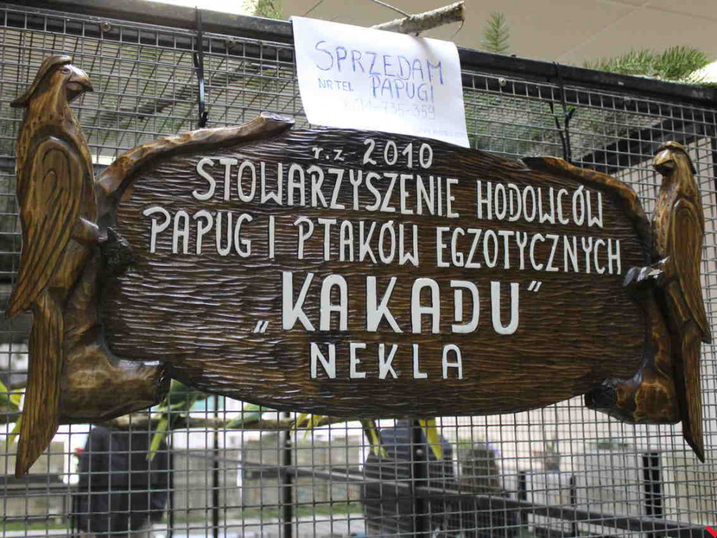 Hodowcy egzotycznych ptaków spotkali się w Nekli. Wystawa okazała się sporym sukcesem