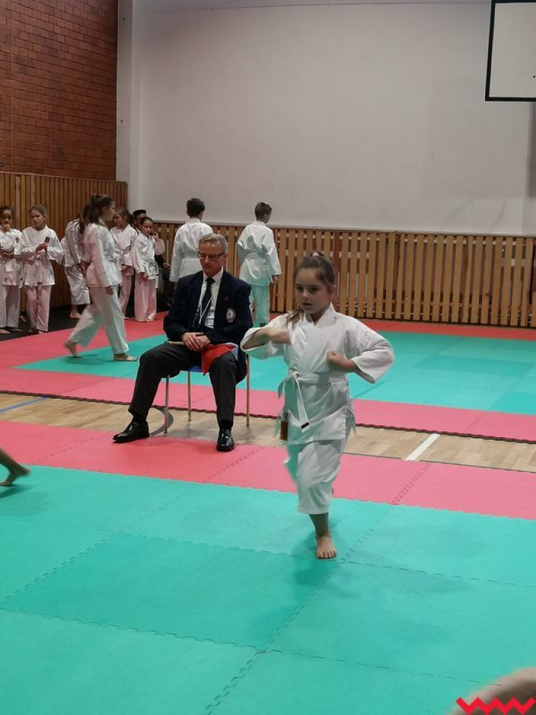 Kolejny turniej zawodników Wrzesińskiego Klubu Karate