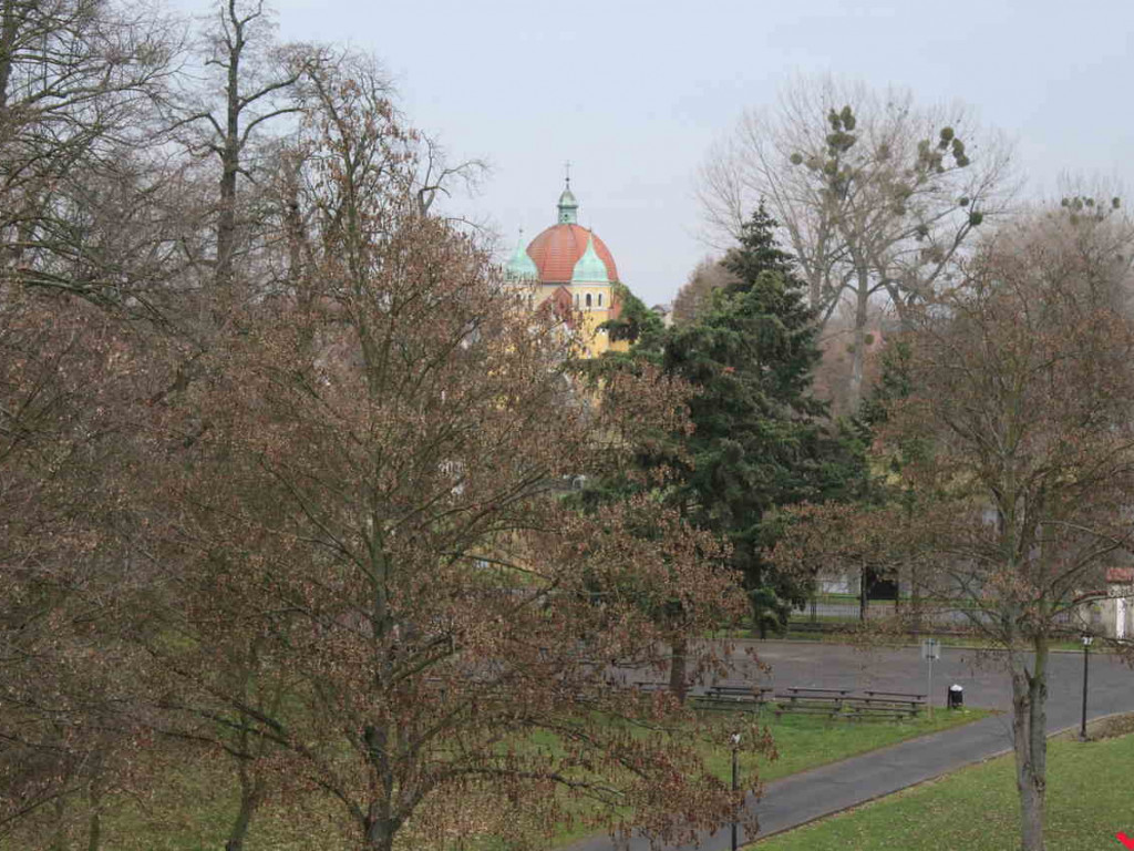 Potrzebne są miliony na remont pałacu. Na razie jest trochę dachu i sale historyczne