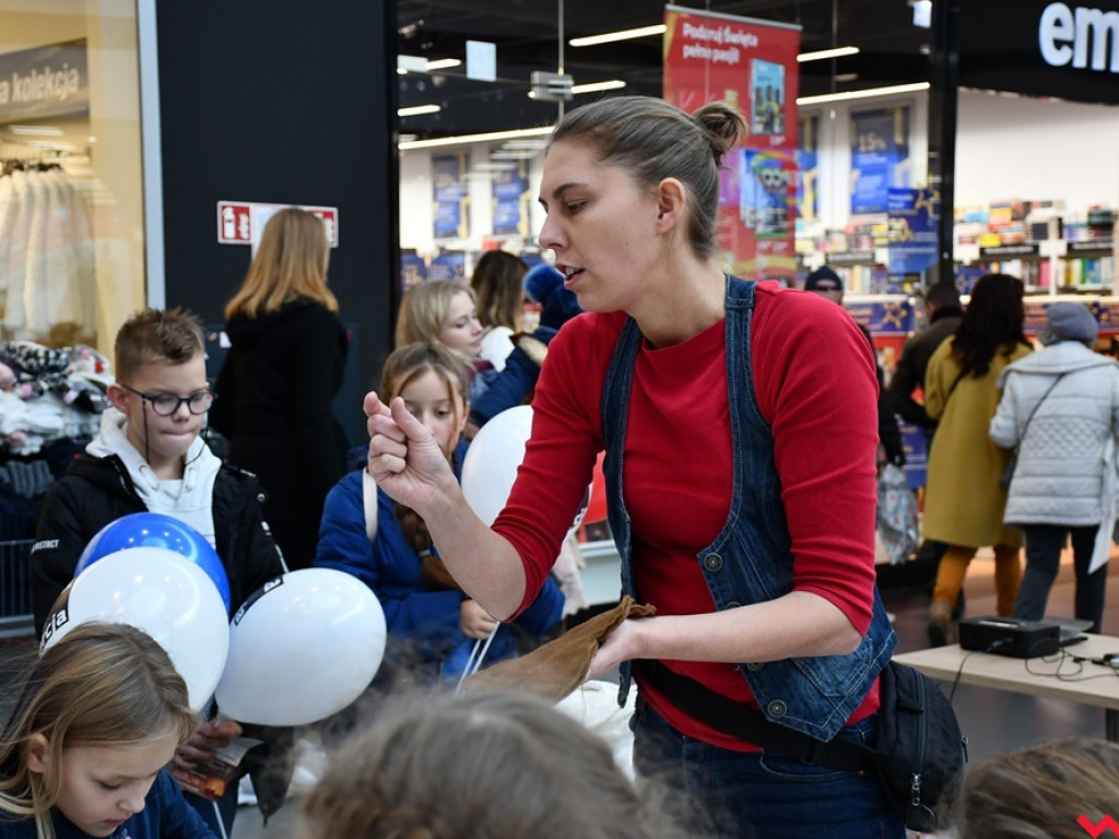 Miś – najlepszy przyjaciel z dzieciństwa. Dzień Pluszowego Misia w Karuzeli