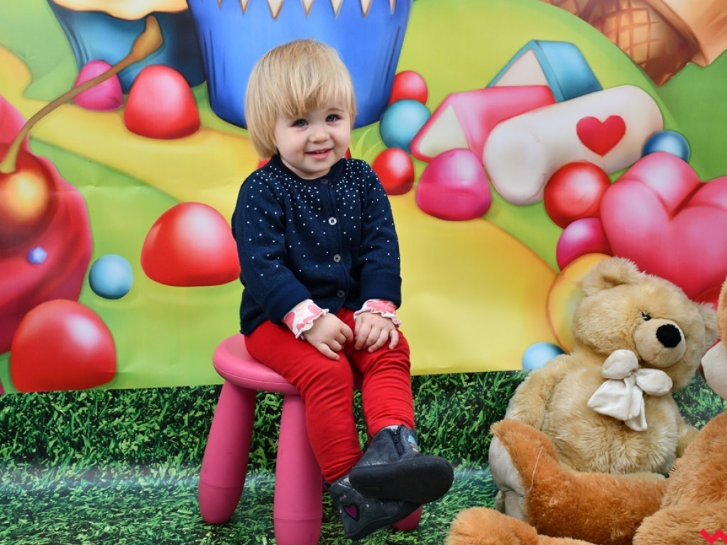 Miś – najlepszy przyjaciel z dzieciństwa. Dzień Pluszowego Misia w Karuzeli