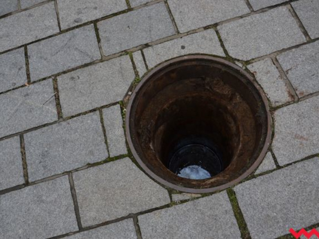 Świąteczna choinka dotarła już na wrzesiński rynek
