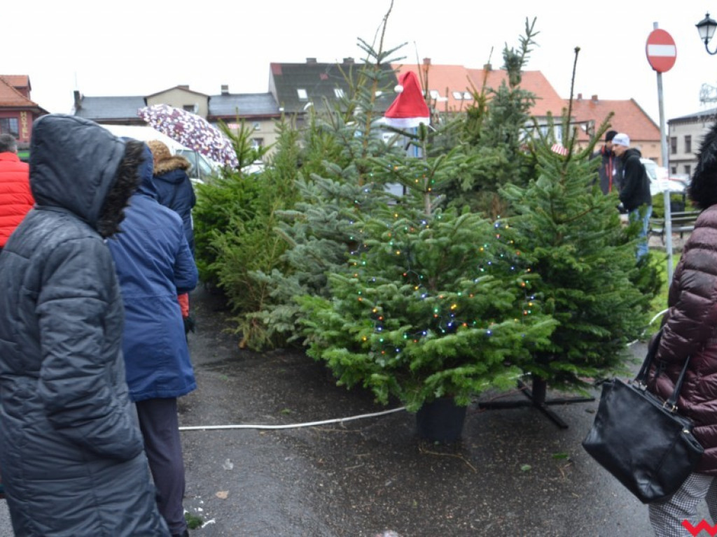 Pierwszy zwiastun świąt. W Miłosławiu odbywa się Jarmark Bożonarodzeniowy