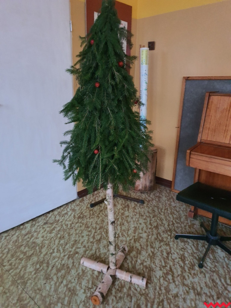 Przedświąteczny apel radnego Wnuka w sprawie choinek i fajerwerków