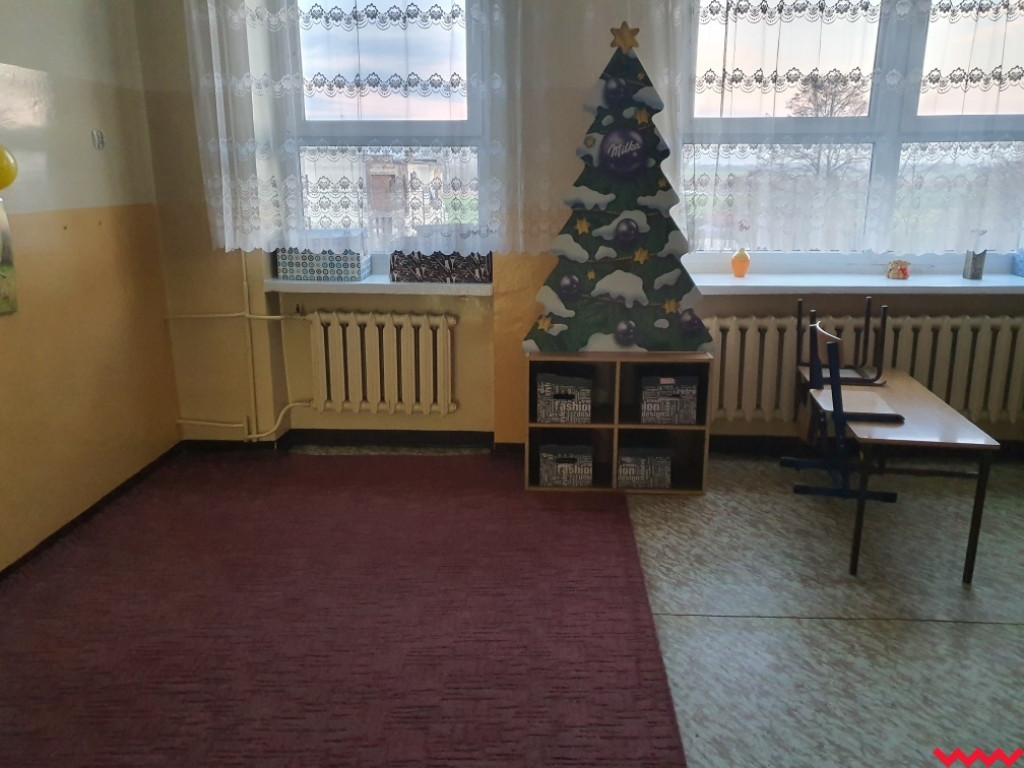 Przedświąteczny apel radnego Wnuka w sprawie choinek i fajerwerków
