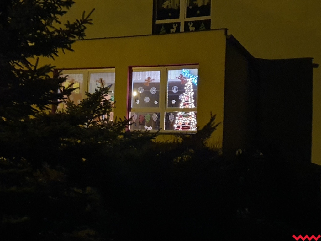 Przedświąteczny apel radnego Wnuka w sprawie choinek i fajerwerków