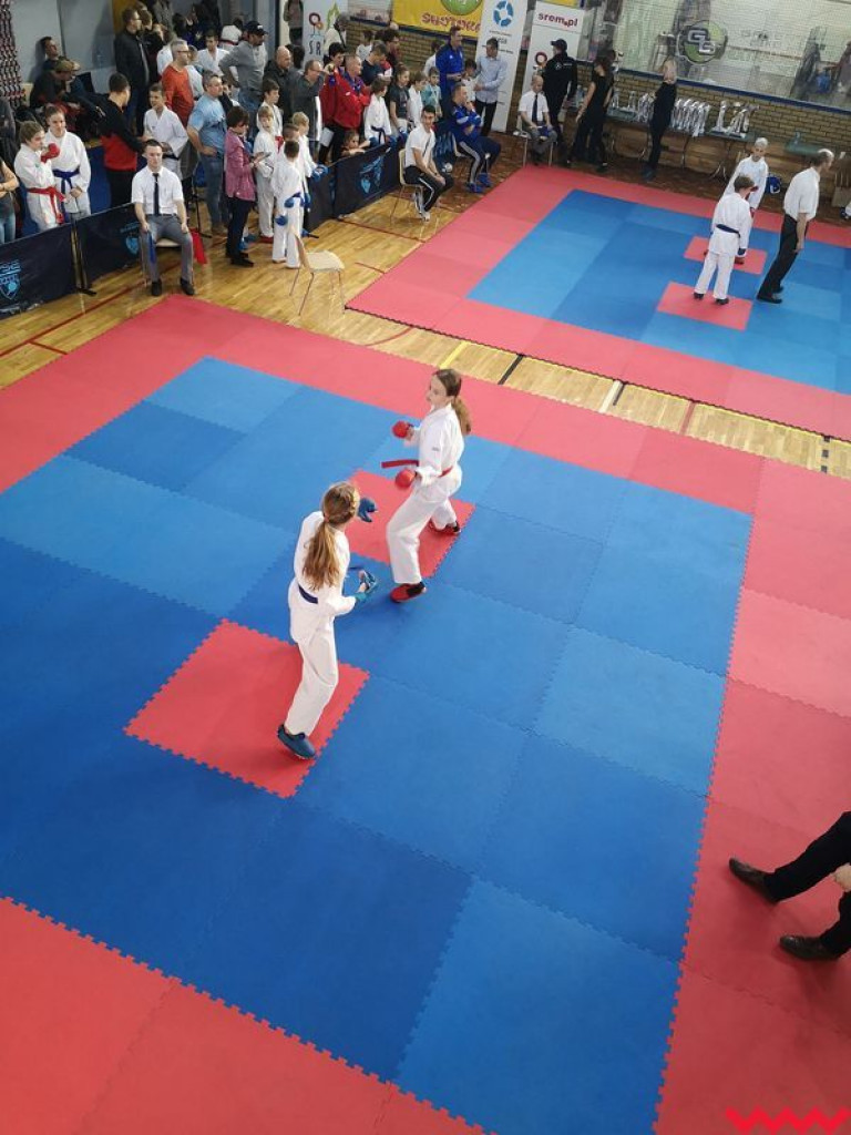 Udany występ karateków WKK podczas turnieju rankingowego w Śremie